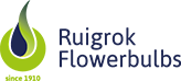 Ruigrok Flowerbulbs