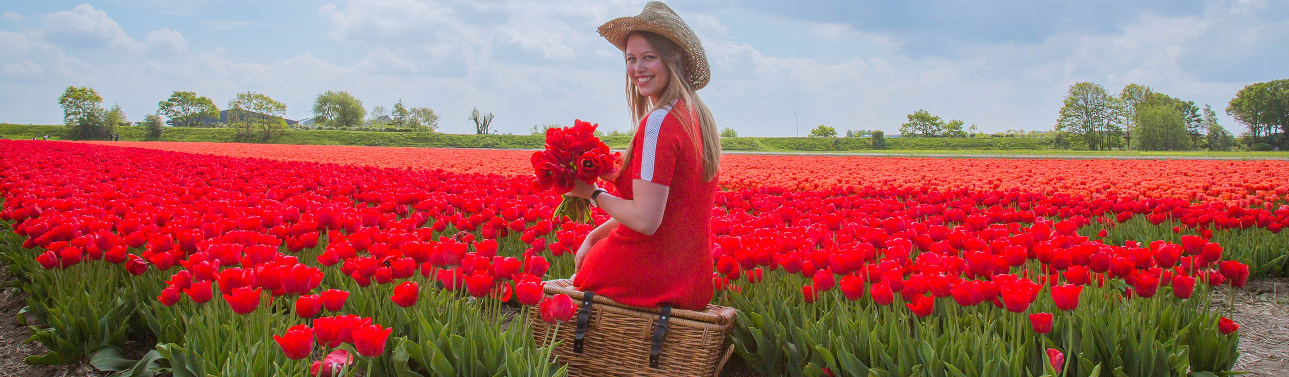 Flowerbulbs