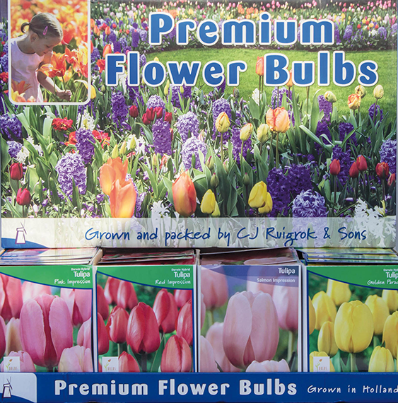 retail-specialist-wholesale-flowerbulbs