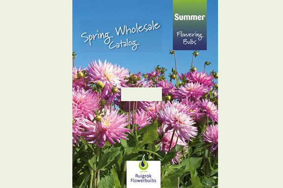 Spring Wholesale Catalog