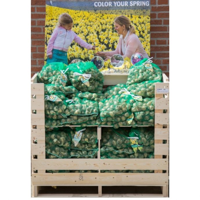Retail Daffodil Pallet Box (80 Bags)