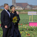 Royal Visit Between Our Tulips