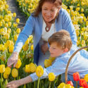 Don’t Forget To Order Your Spring Flowering Bulbs